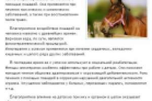 Иппотерапия