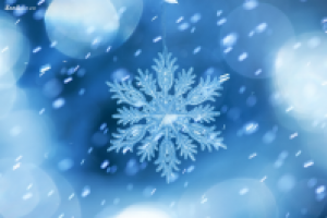 Новогоднее