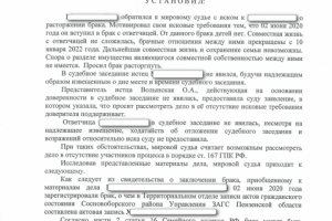 Судебное решение - развод с иностранным гражданином