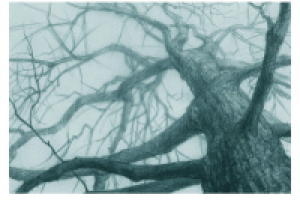 КАРАНДАШНЫЙ РИСУНОК НА ТОНИРОВАННОЙ БУМАГЕ