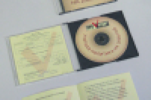 CD-ДИСК ДЛЯ ФИРМЫ "ПРО-АУДИТ" (ФОТО)