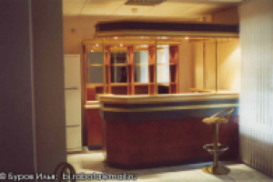 БАРНАЯ СТОЙКА ДЛЯ ЧАСТНОЙ КОМПАНИИ