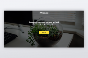 Студия Live-Colors