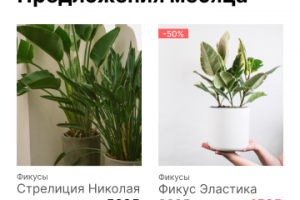 Дизайн сайта