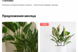 Дизайн сайта