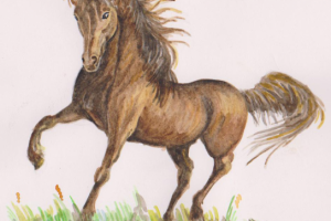 Работа 1741561