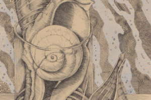 Работа 1741630