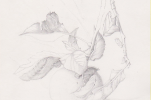 Работа 1747875