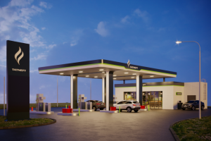 Работа 4206674