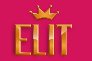 Логотип Elit малиновый фон
