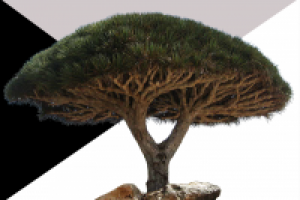 Очистка от фона объекта на фото