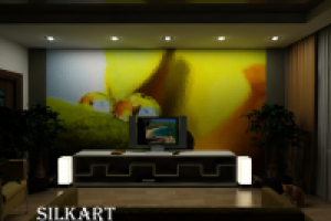 "ночной просмотр"