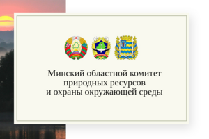 Сайт государственной организации