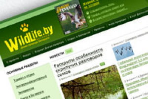 Архив / 2010. Портал о дикой природе Беларуси