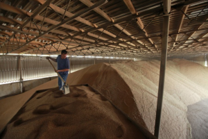 Зернохранилища от Ангар 36