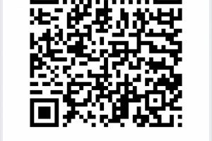 Программа, которая генерирует QR-код из данных с JSON - файла.