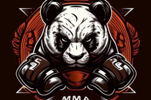 клуб ММА по Кудо