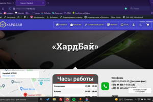 Оболочка сайта WordPress по критериям заказчика