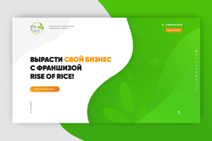 Лендинг по франшизе с эффектом fullpage