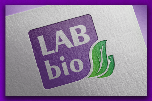 Разработка ТЗ Labbio