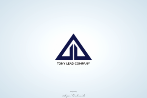 Tony Lead Company