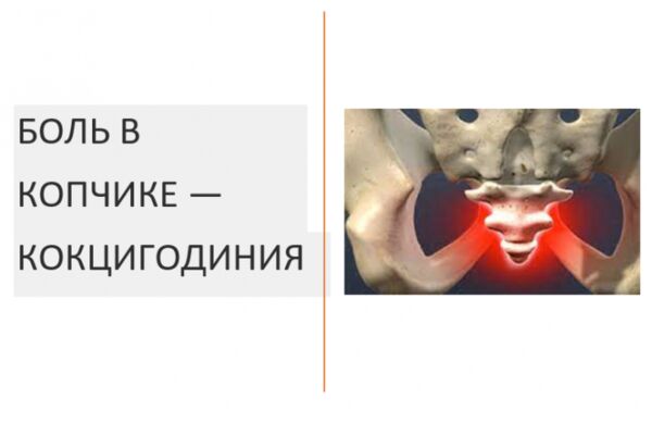 img4478877.png