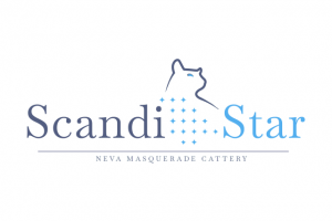 Scandistar