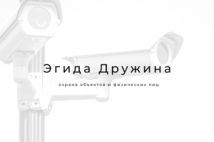 Эгида Дружина