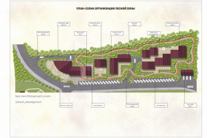 Разработка концепции лесной зоны при коттеджном поселке