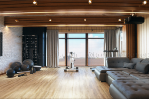 Дизайн спорт-зала/ кинотеатра. Вариант 1