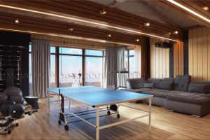 Дизайн спорт-зала/ кинотеатра. Вариант 1