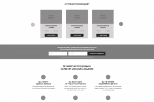 Прототип интернет-магазина криминалистических товаров