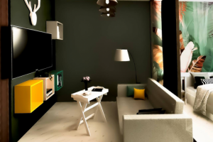 Однокомнатная квартира для молодой девушки (с перепланировкой)