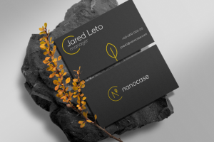 Визитка для инвестиционного проекта Nanocase