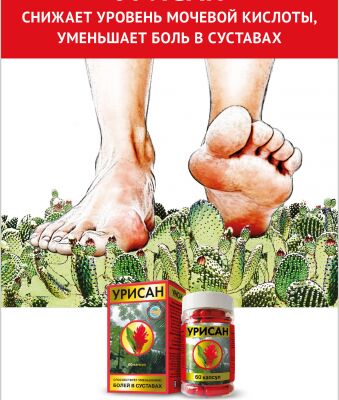 img4249209.png
