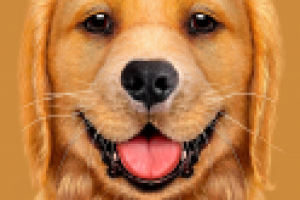 Отрисовка принта на футболку