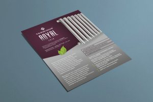 Дизайн флаера для новой линейки радиаторов Terminus