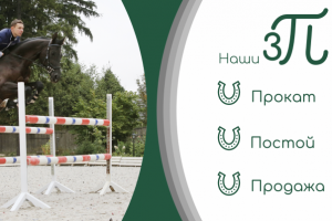 Конный клуб