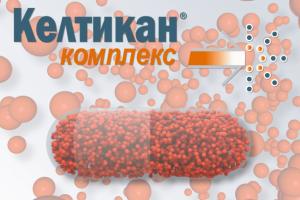 Кэлтикан Комплекс