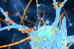 Моделинг нейрона и швановских клеток