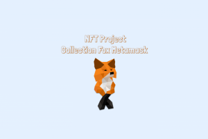 Fox Metamask Collection