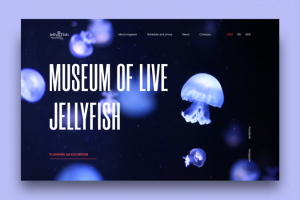 Музей медуз