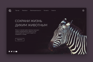 Фонд помощи животным