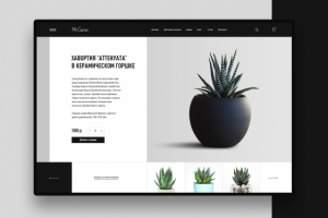 Сайт "Mr.Cactus"