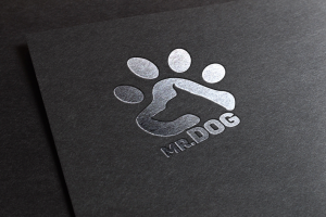 Логотип «mr.DOG»