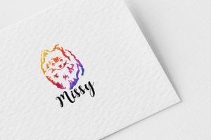 Логотип «MISSY»