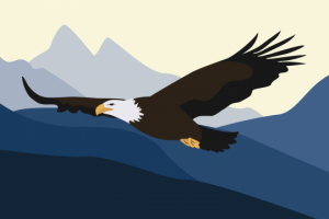 Информационный ролик