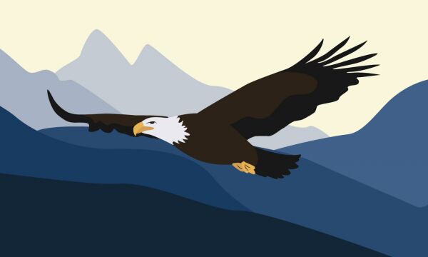 img4120606.png