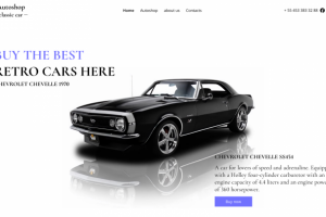 Магазин по продажам ретро - спортивных машин