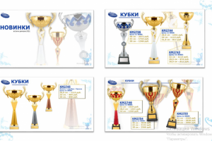 Встреча дилеров в компании ООО "Диалог-Конверсия"